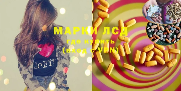 прущие грибы Беломорск