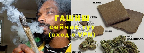 стаф Балахна