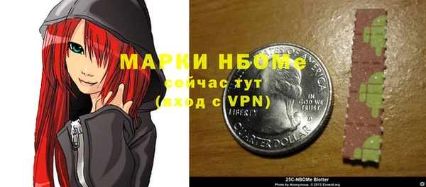 прущие грибы Беломорск